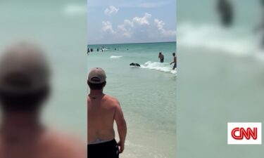 A bear was spotted splashing through the Gulf of Mexico before running up the shore at Destin