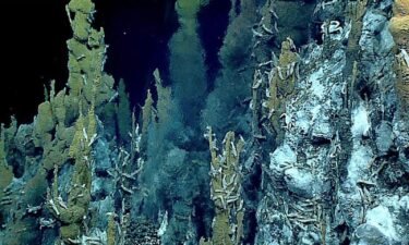 A hydrothermal-vent chimney belches nutrient-rich fluid