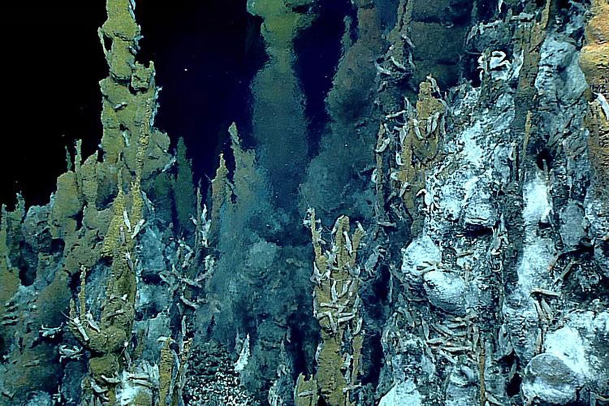 <i>NOAA Office of OER/2016 Deepwater Exploration of the Marianas</i><br/>A hydrothermal-vent chimney belches nutrient-rich fluid