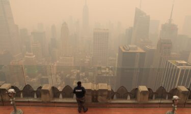 A security guard looks out from the top of the Rockefeller Center