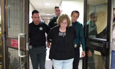 Susan Louise Lorincz faces charges of manslaughter with a firearm