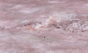 Pink snow in Cache County