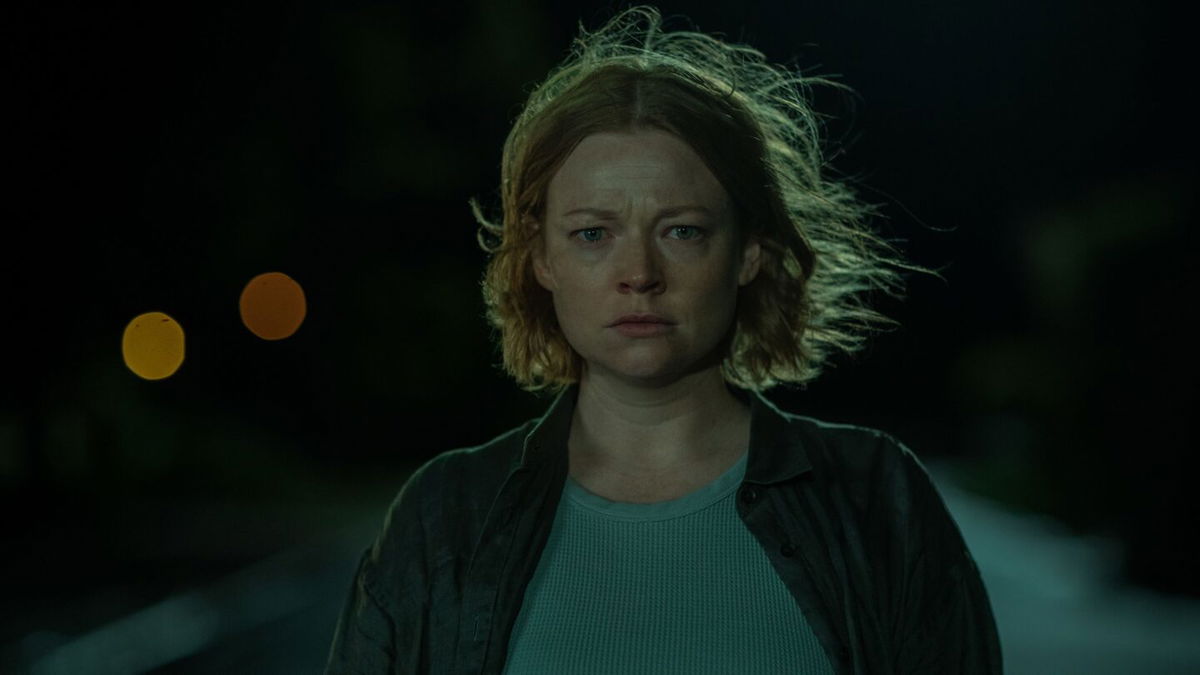 <i>Netflix</i><br/>Sarah Snook in the Australian thriller 