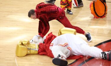 UFC star Conor McGregor punched Miami heat mascot Burnie twice during a mid-game skit