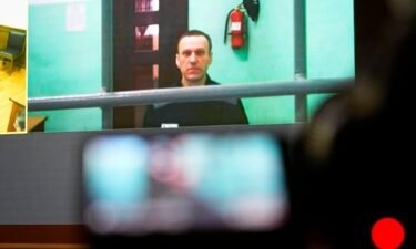 Navalny appears in a video link during a hearing at the Russian Supreme Court in Moscow