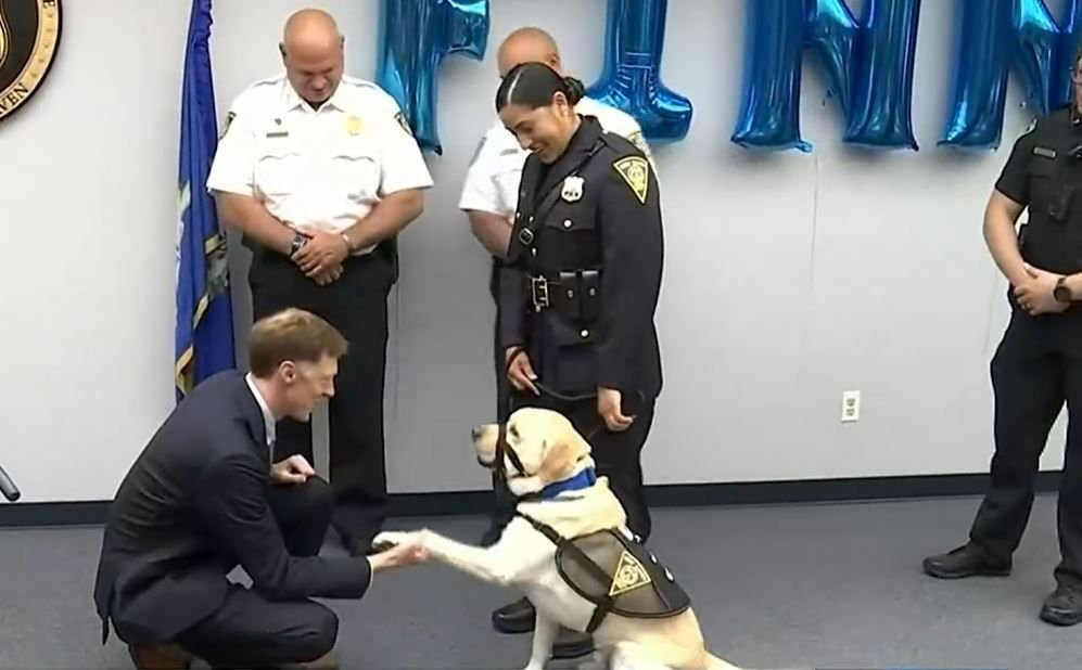 <i></i><br/>Officer Finn is New Haven’s first police comfort dog