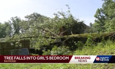 An 11-year-old girl in Raymond was only inches away from tragedy when strong winds knocked down a large tree through the roof