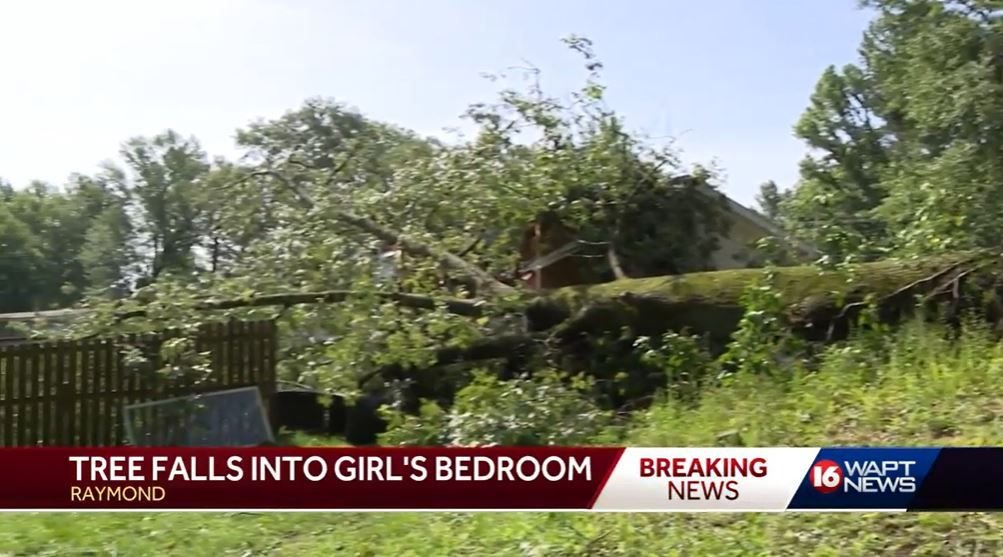 <i>WAPT</i><br/>An 11-year-old girl in Raymond was only inches away from tragedy when strong winds knocked down a large tree through the roof