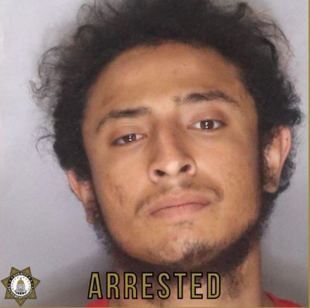 <i>Sacramento County Sheriff/KOVR</i><br/>An investigation is underway after deputies say a woman was reportedly beaten near an Arden Arcade park by Adrian Gonzales.