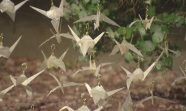 Paper cranes on display to represent the survivors of the Aurora theater shooting.