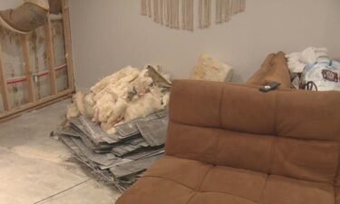 Deja Guira's basement apartment flooded for the first time on May 11. The rental company has yet to repair and clean up the debris.