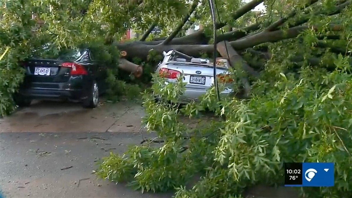 <i>KMOV</i><br/>A woman was seated in her parked car near the Grove when a tree fell and crushed her car. The incident happened at the 4100 block of Chouteau just before 5:30 p.m. Saturday.