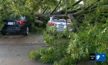 A woman was seated in her parked car near the Grove when a tree fell and crushed her car. The incident happened at the 4100 block of Chouteau just before 5:30 p.m. Saturday.