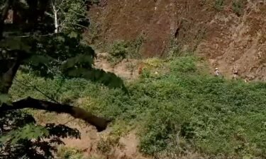 A Beaverton father of five died after a fall from the Multnomah Falls trail on Saturday afternoon