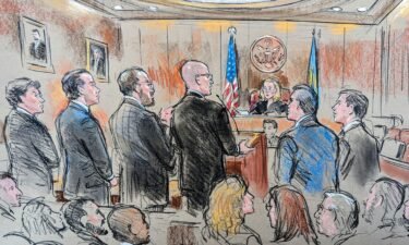 In this sketch from federal court