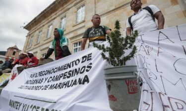 Marijuana growers from southern Colombia protest in front of the Colombian Congress during the debate that could regulate the recreational consumption of Cannabis in Bogota