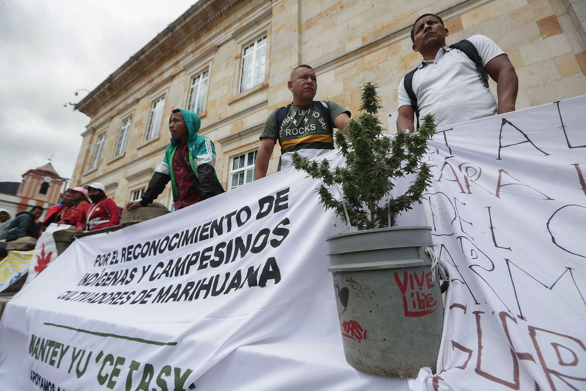 <i>Juan Pablo Pino/AFP/Getty Images</i><br/>Marijuana growers from southern Colombia protest in front of the Colombian Congress during the debate that could regulate the recreational consumption of Cannabis in Bogota