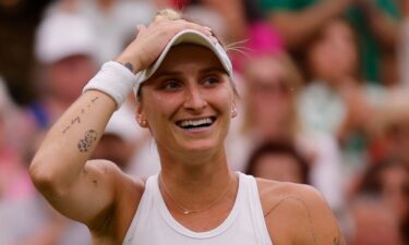 Markéta Vondroušová reacts to her Wimbledon semifinal victory against Elina Svitolina. Vondroušová booked a cat sitter after earning an unlikely spot in her first Wimbledon final.