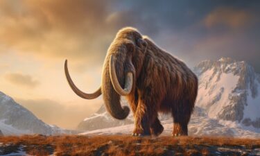 A rendering of a woolly mammoth. Biotech company Colossal wants to revive the mammoth by creating a hybrid combining its DNA with that of Asian elephants.