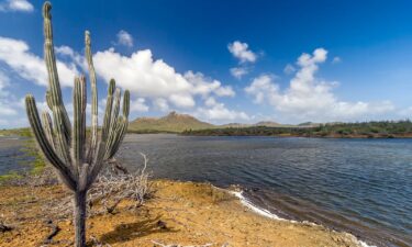 Washington Slagbaai National Park is an ecological reserve on the northwestern part of Bonaire.