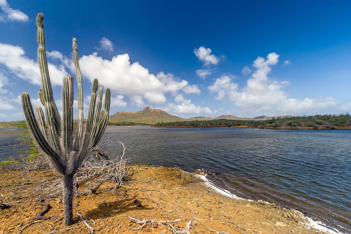 <i>johnandersonphoto/iStockphoto/Getty Images</i><br/>Washington Slagbaai National Park is an ecological reserve on the northwestern part of Bonaire.