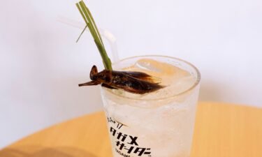 Tagame Cider is a carbonated drink made with the extract of giant water bugs and garnished with a dried version of the insect.