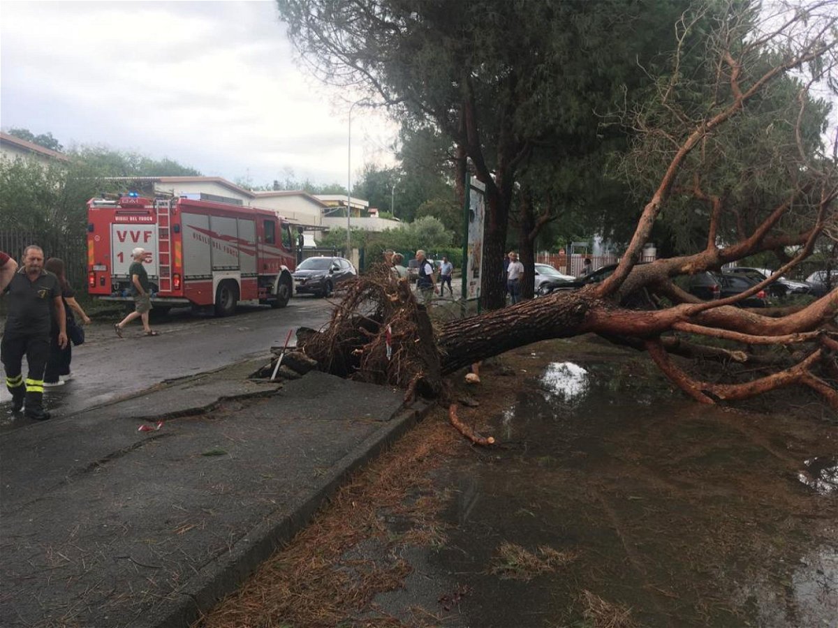 Firefighters and rescue services next to a fallen tree after a strong storm hit Lissone