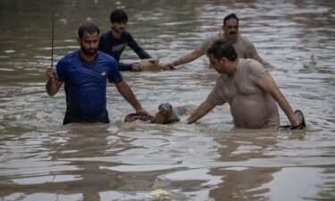 People rescue cows from a flooded locality after a rise in the water level of the  Yamuna River due to heavy monsoon rains