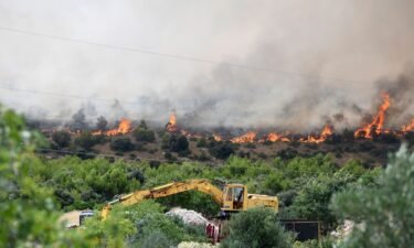 A major fire broke out in the village of Grebastica in Sibenik