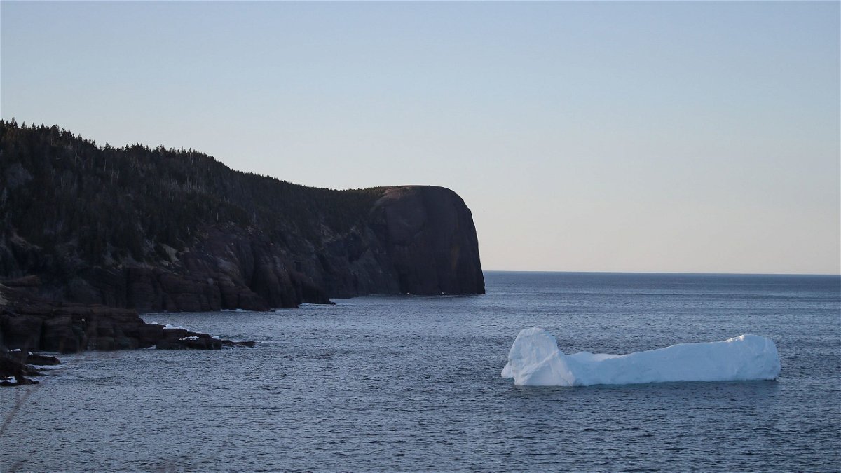 An iceberg floats in Flatrock Cove