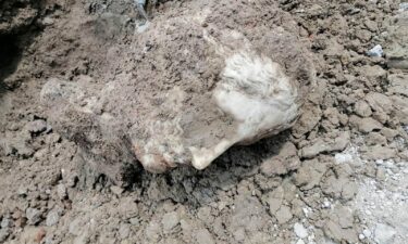 The head was found lying down and covered in earth.