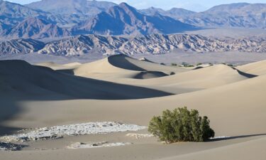 A view of Mesquite Flat Sand Dunes during sunset at Death Valley National Park in California on April 23.