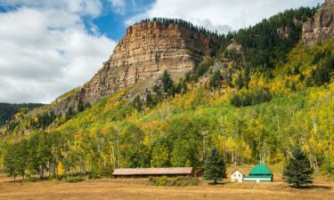 A bear severely injured a 35-year-old herder who was working for a sheep grazing allotment on the San Juan National Forest in Colorado