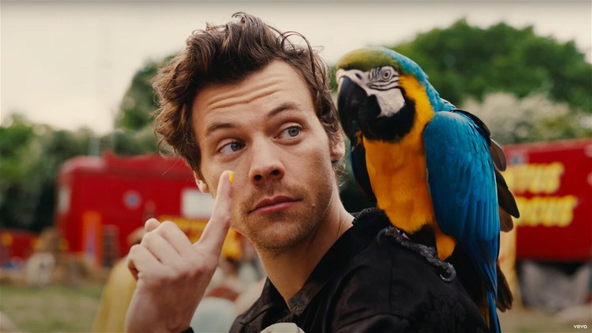 <i>From Harry Styles/Youtube</i><br/>Harry Styles is pictured in his new 'Daylight' music video.
