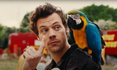 Harry Styles is pictured in his new 'Daylight' music video.