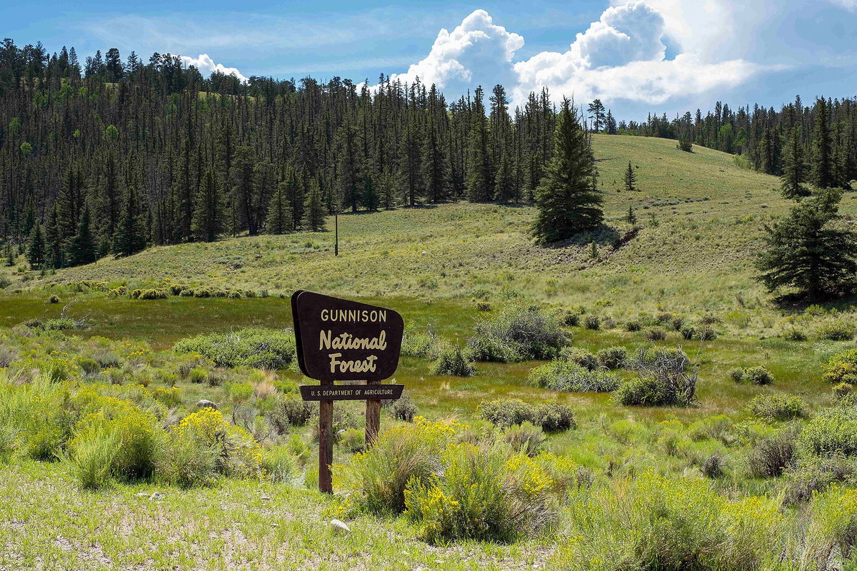 <i>Larry Clouse/CSM/Zuma/File</i><br/>A hiker found the first body Sunday in a remote area of the Gunnison National Forest