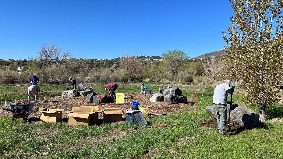 Members of the High Desert Chapter of the Idaho Master Naturalists have been planting and caring for a variety of trees and shrubs at the Edson Fichter Nature Area in Pocatello. This volunteer effort is part of a habitat improvement project funded with an Ifft Foundation grant.