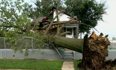 A tree collapsed into a Granite City home on Monday