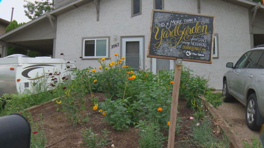 <i></i><br/>The Table Urban Farm has been growing food in Denver since 2012.