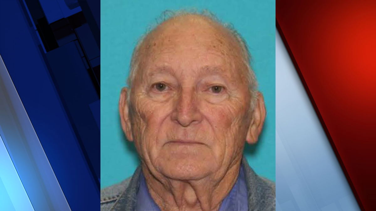 Endangered missing person alert issued for 85-year-old - Idaho.com