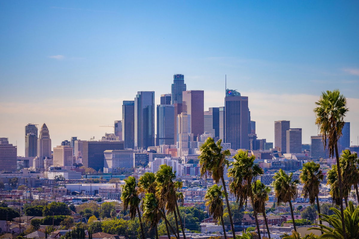 <i>LPETTET/iStockphoto/Getty Images</i><br/>A view of downtown Los Angeles with palm trees in the foreground is seen here.