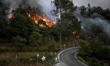 Cars escape the Bond Fire as it crosses near Silverado Canyon in Orange County