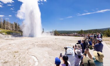 Throngs of visitors watch a Grand Geyser eruption at Yellowstone National Park on July 19.