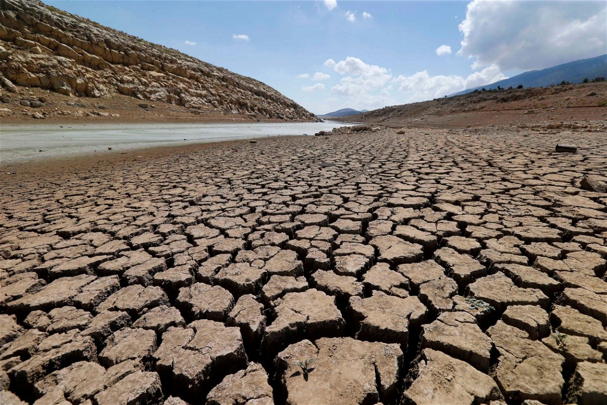 The dried cracked bed of the Qaraoun lake in West Bekaa, Lebanon on September 19, 2014. Lebanon is one of the most water-stressed countries, according to a new report.