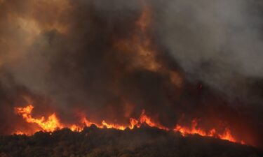 Destroyed corral where eighteen bodies were found following a wildfire near the village of Avantas.