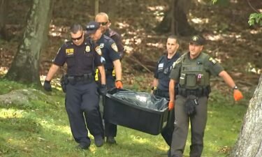 Police euthanized a bear after it attacked a child in the backyard of a New York home.
