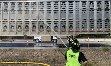 Firefighters responded to a stranded tractor trailer on 69 Highway. The trailer hauled pigs