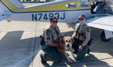 Moose the dog was up for adoption for more than 200 days in Hollister