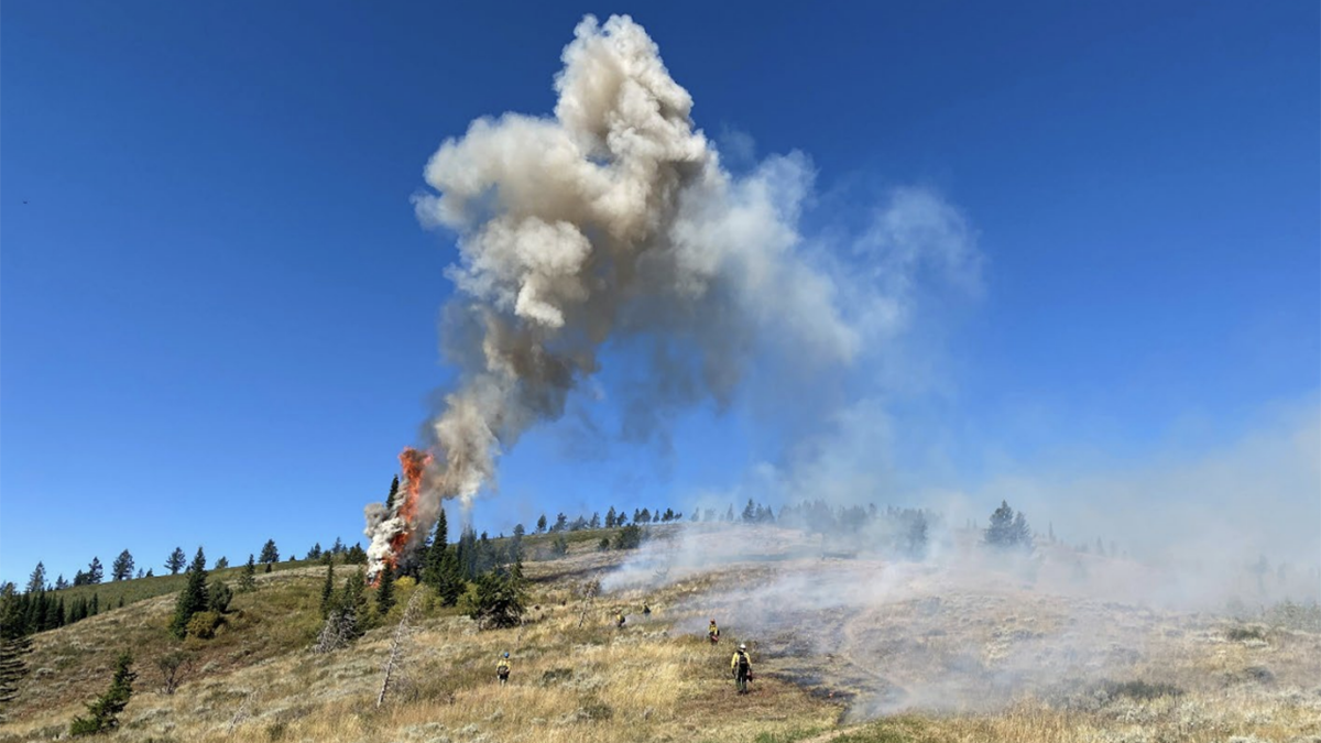 Past Prescribed Fire Operations at Red Creek