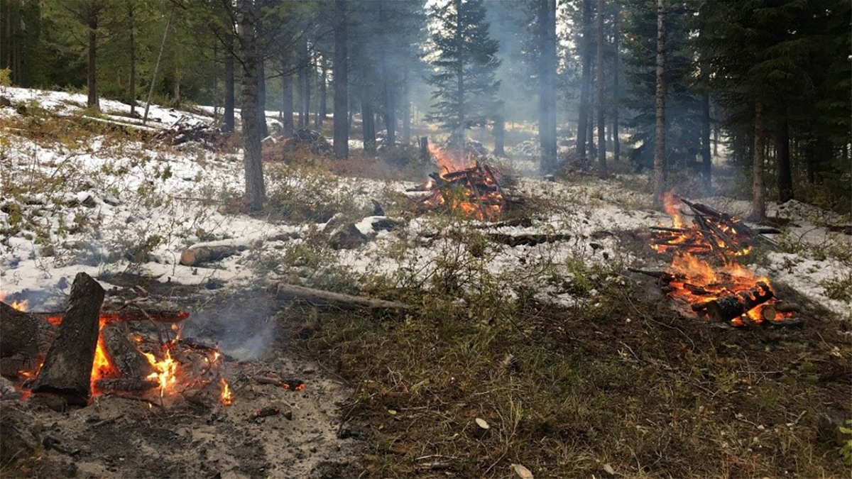 Previous Pile Burning on the Caribou-Targhee National Forest.
